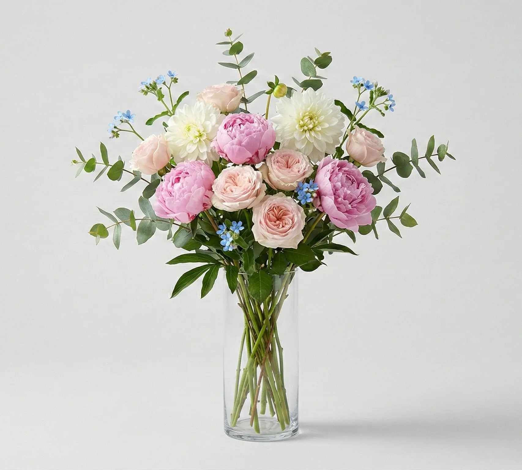 Peony Paradise Peony Paradise