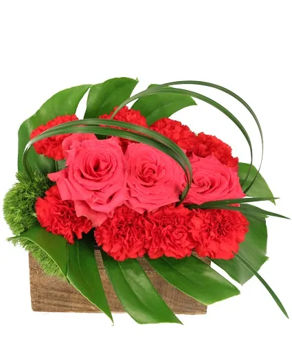 Blazing Kiss Floral Design Blazing Kiss Floral Design