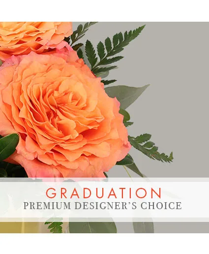 Graduation Celebration Premium Designer's Choice Graduation Celebration Premium Designer's Choice