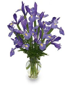 RAMO DE LIRIOS AZULES Arreglo Floral