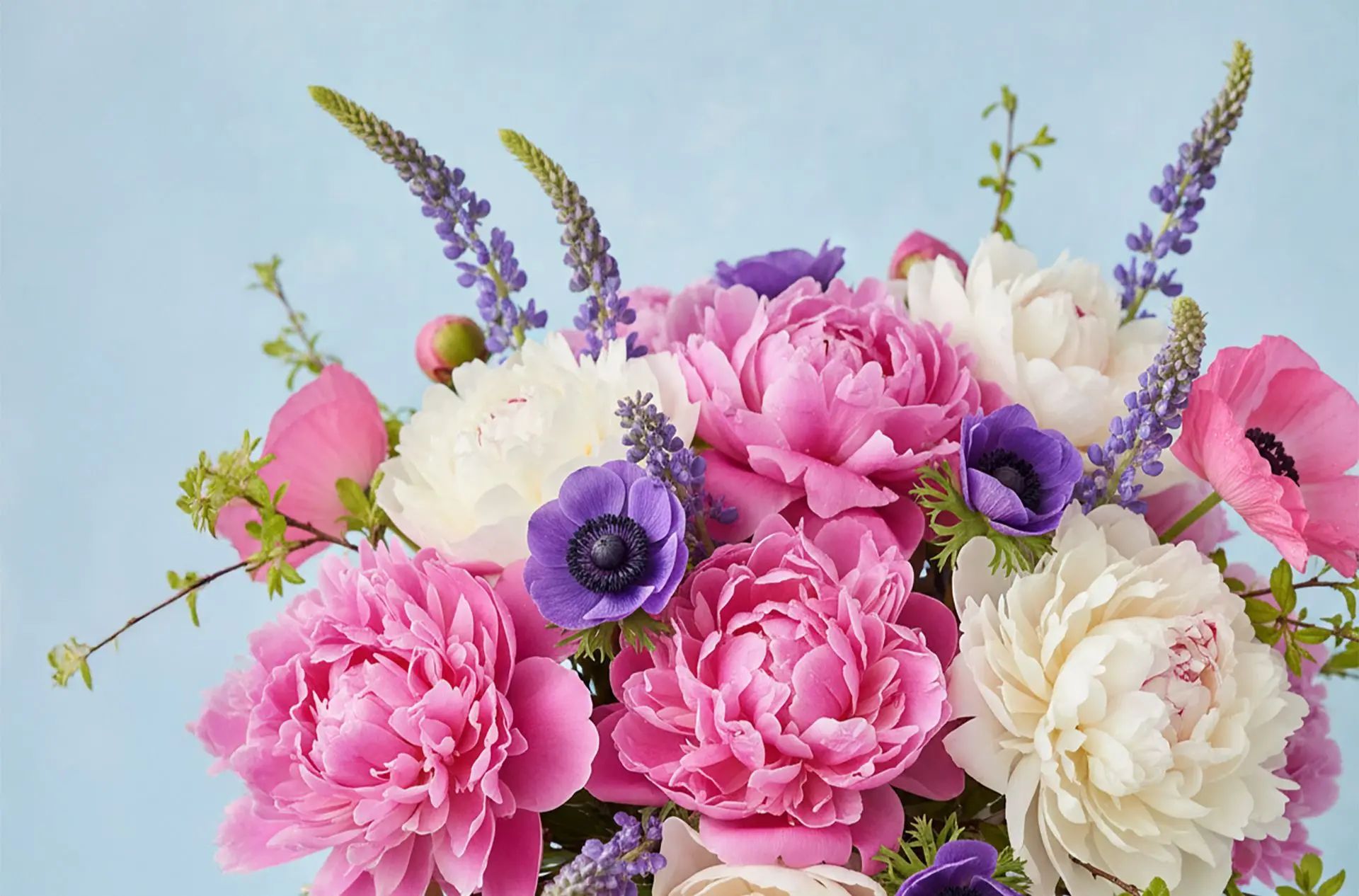 Featured flowers