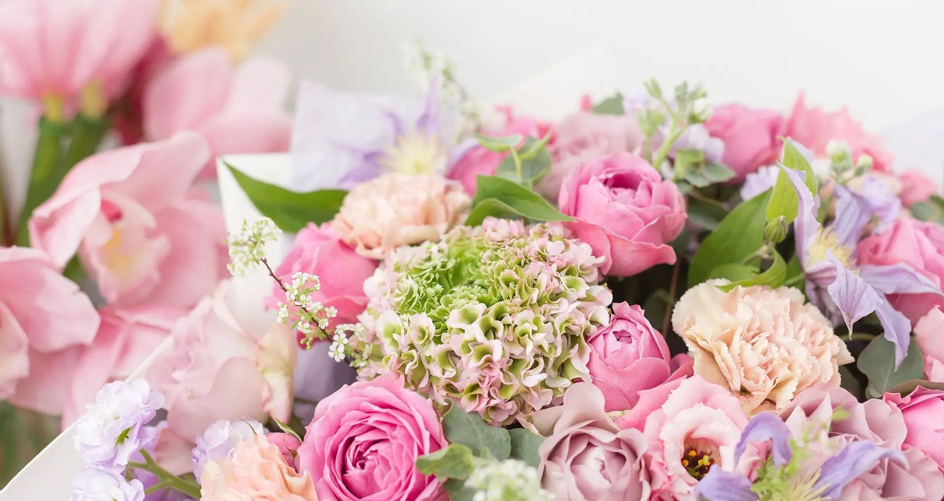 Winter Flowers collection