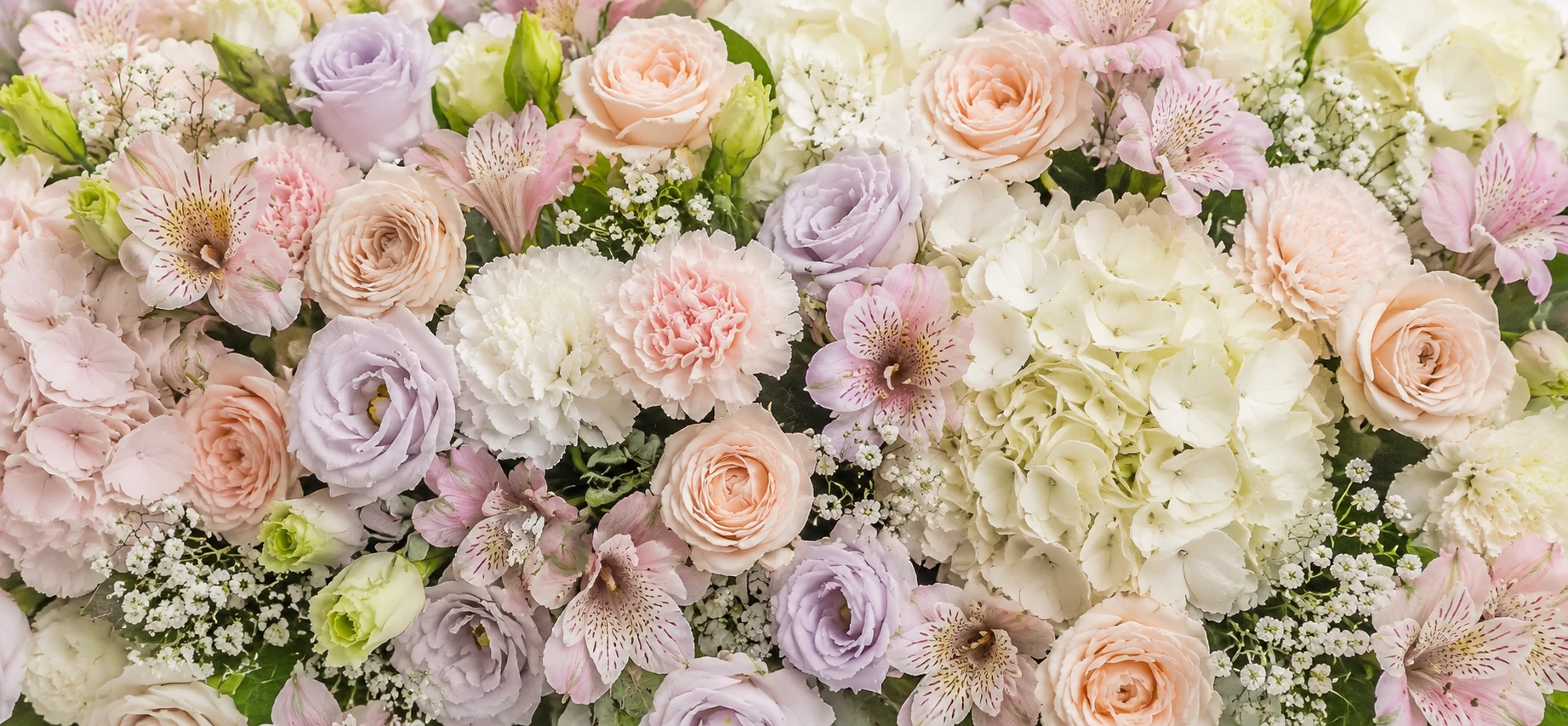 Featured flowers Featured flowers
