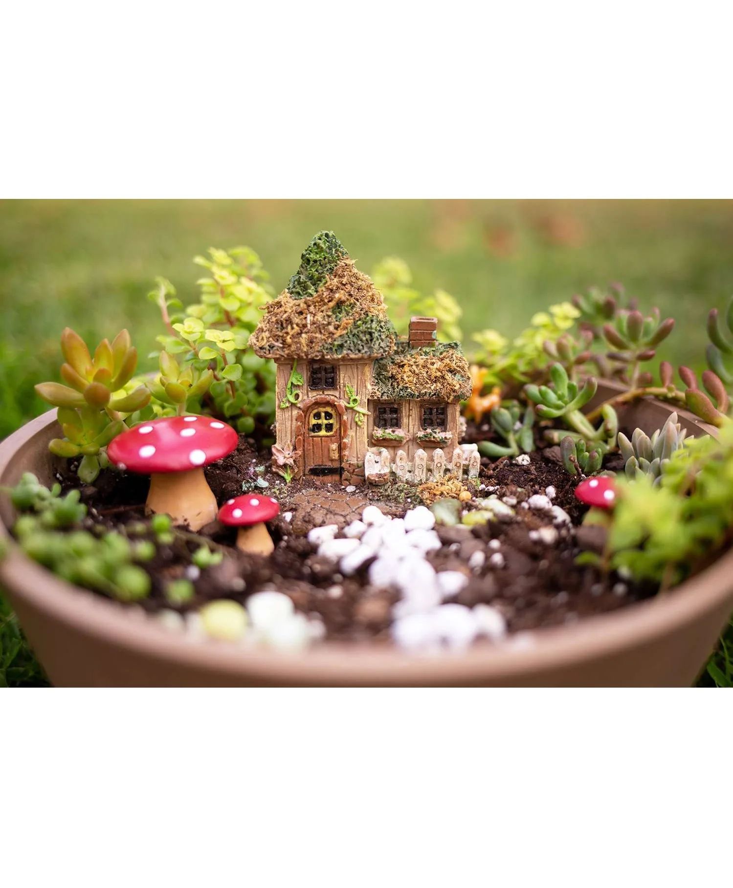 Fairy Garden Workshop Planter