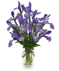 RAMO DE LIRIOS AZULES Arreglo Floral RAMO DE LIRIOS AZULES Arreglo Floral