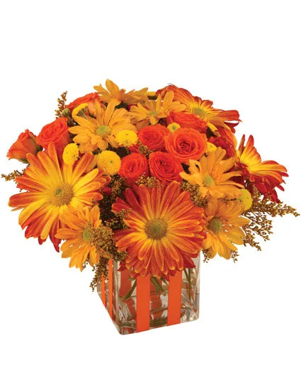 Bonfire Nights Bouquet Bonfire Nights Bouquet