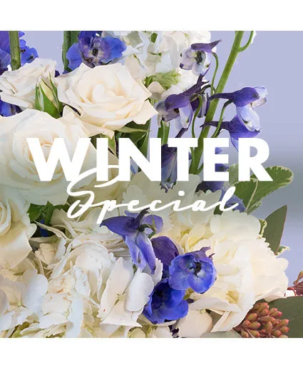 Winter Special Designer's Choice Winter Special Designer's Choice