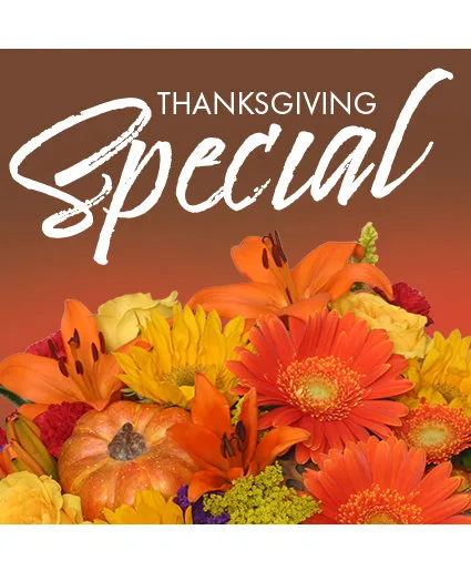 Thanksgiving Special Designer's Choice Thanksgiving Special Designer's Choice