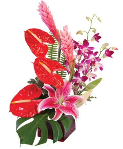 Fuchsia Fantasy Flower Arrangement Fuchsia Fantasy Flower Arrangement
