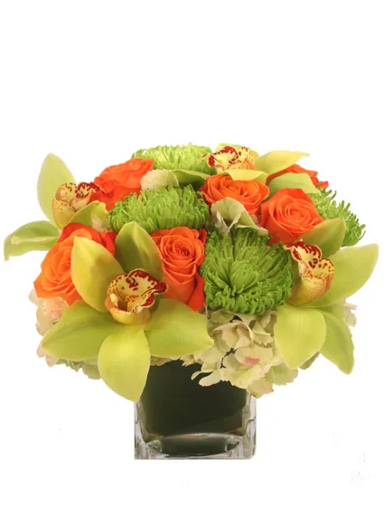 Exotic Greenness Bouquet Exotic Greenness Bouquet