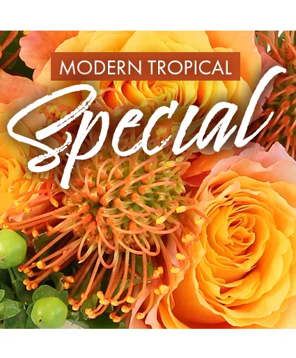 Modern Tropical Special Designer's Choice Modern Tropical Special Designer's Choice