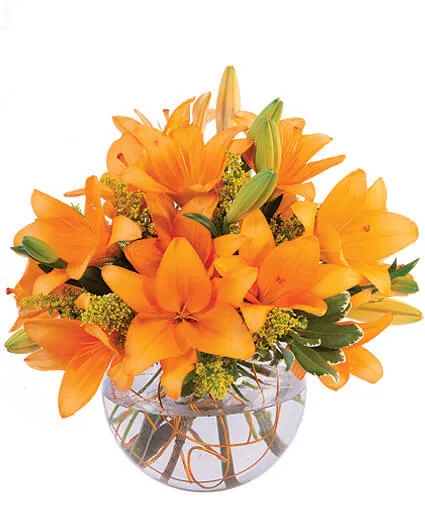 Orange Lily Sorbet Bouquet Orange Lily Sorbet Bouquet