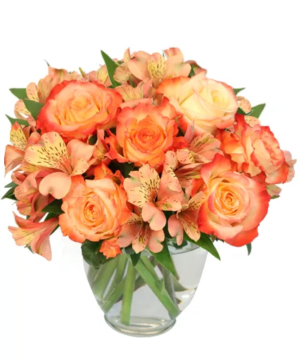 Ambrosia Roses Bouquet Ambrosia Roses Bouquet