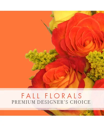 Fall Beauty Premium Designer's Choice Fall Beauty Premium Designer's Choice