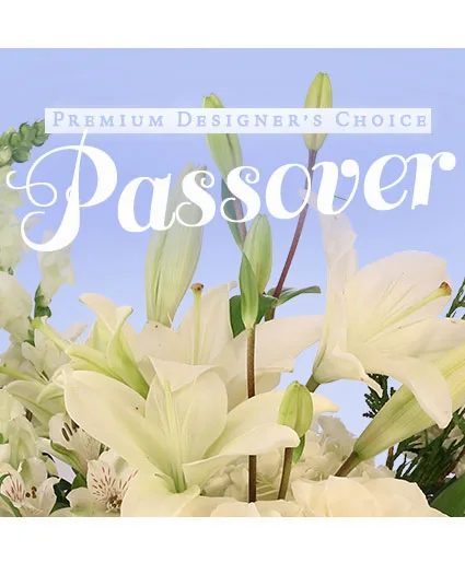 Passover Premium Designer's Choice Passover Premium Designer's Choice