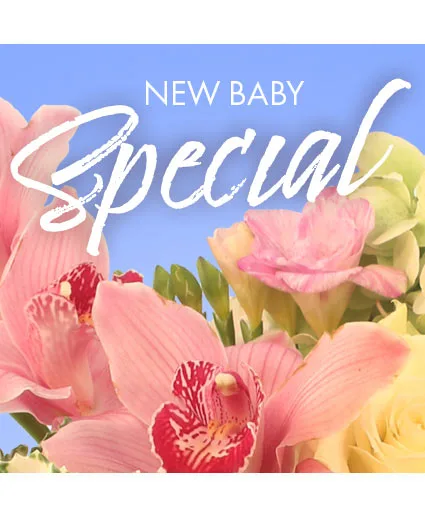 New Baby Favorite Designer's Choice New Baby Favorite Designer's Choice