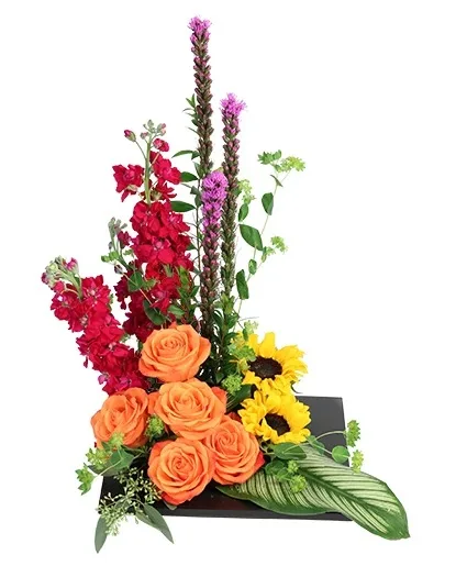 Modern Radiance Floral Design Modern Radiance Floral Design