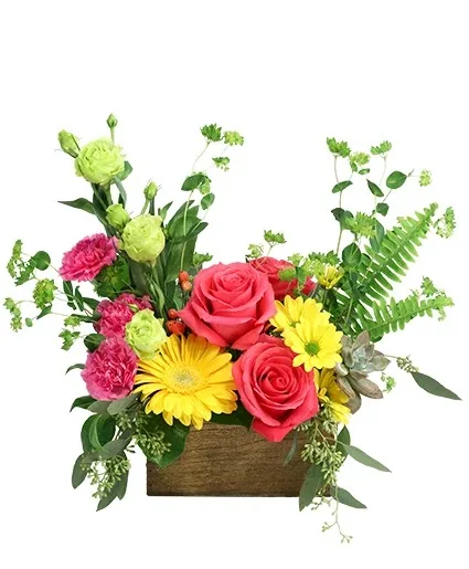 Artistic Embrace Floral Design Artistic Embrace Floral Design