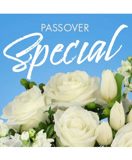 Passover Special Designer's Choice Passover Special Designer's Choice