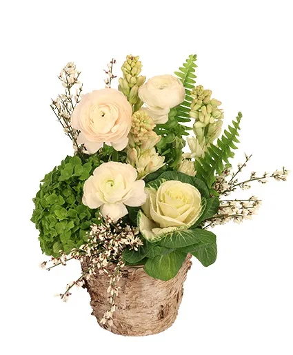 Calming Sages Flower Design Calming Sages Flower Design