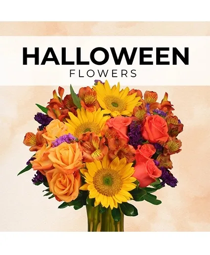 Halloween Florist’s Pick Designer's Choice Halloween Florist’s Pick Designer's Choice