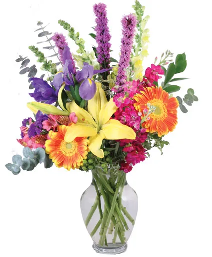 Rainbow Madness Floral Design Rainbow Madness Floral Design