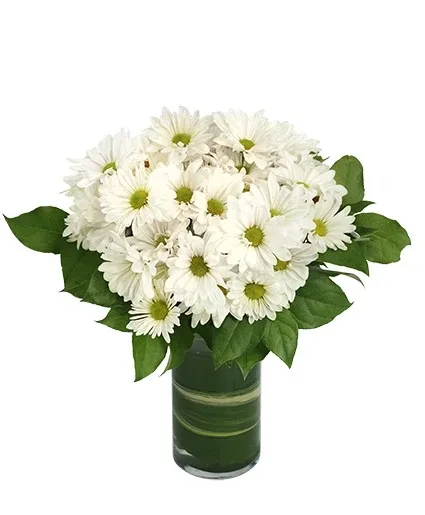 Dazzling Daisy Poms Flower Arrangement Dazzling Daisy Poms Flower Arrangement
