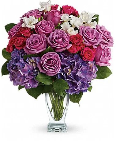 Rhapsody in Purple all around
