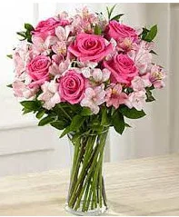 On Wednesday We Wear Pink ARRANGEMENT On Wednesday We Wear Pink ARRANGEMENT