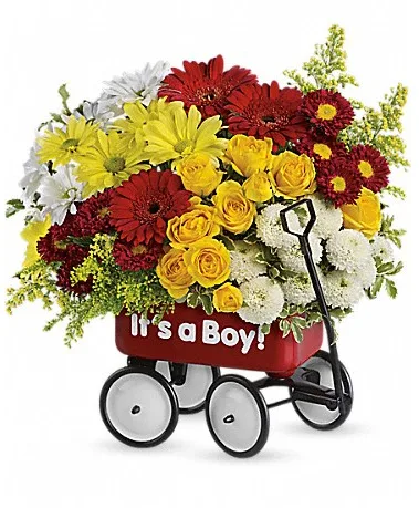 Baby's Wow Wagon by Teleflora - Boy all around Baby's Wow Wagon by Teleflora - Boy all around