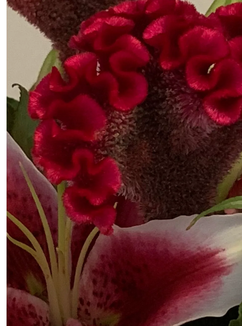 Specialty Designer Choice Premium Floral Design Specialty Designer Choice Premium Floral Design
