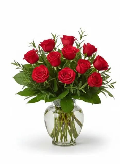 Scarlet Serenade