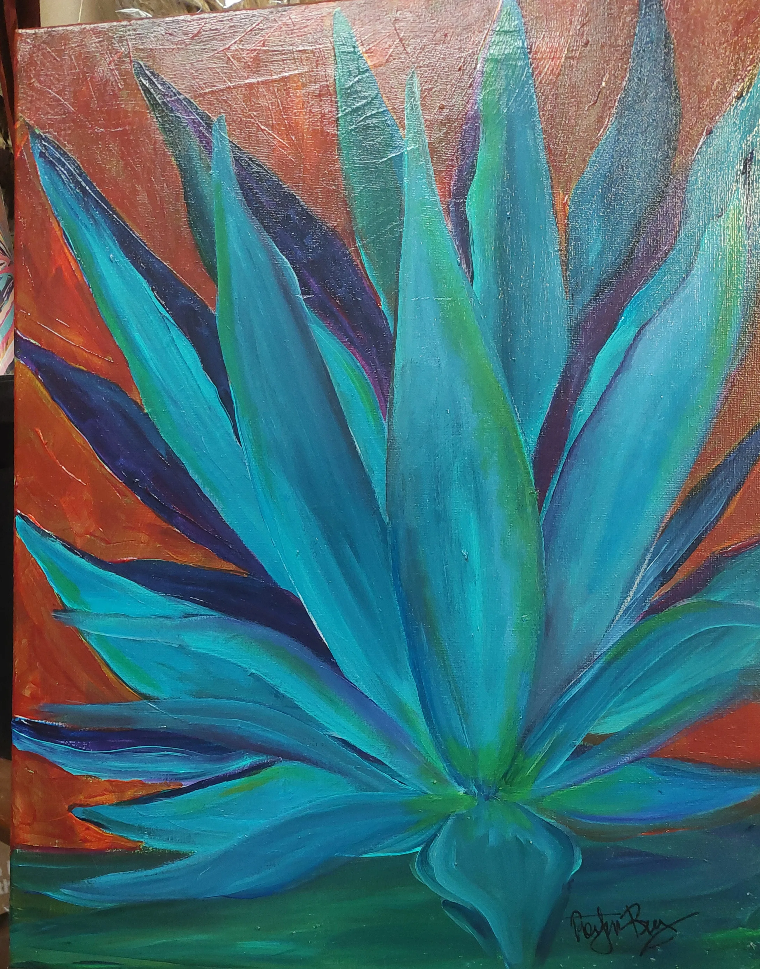 Blue Agave Blue Agave