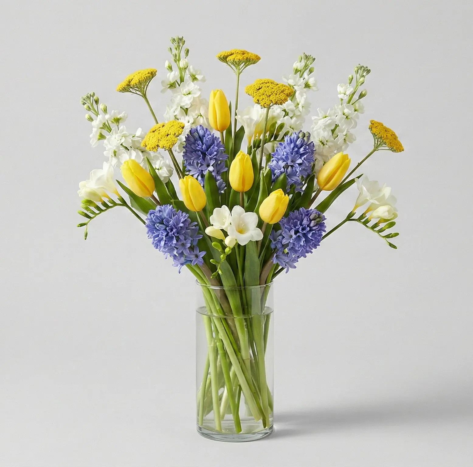 Sunlit Serenade Sunlit Serenade