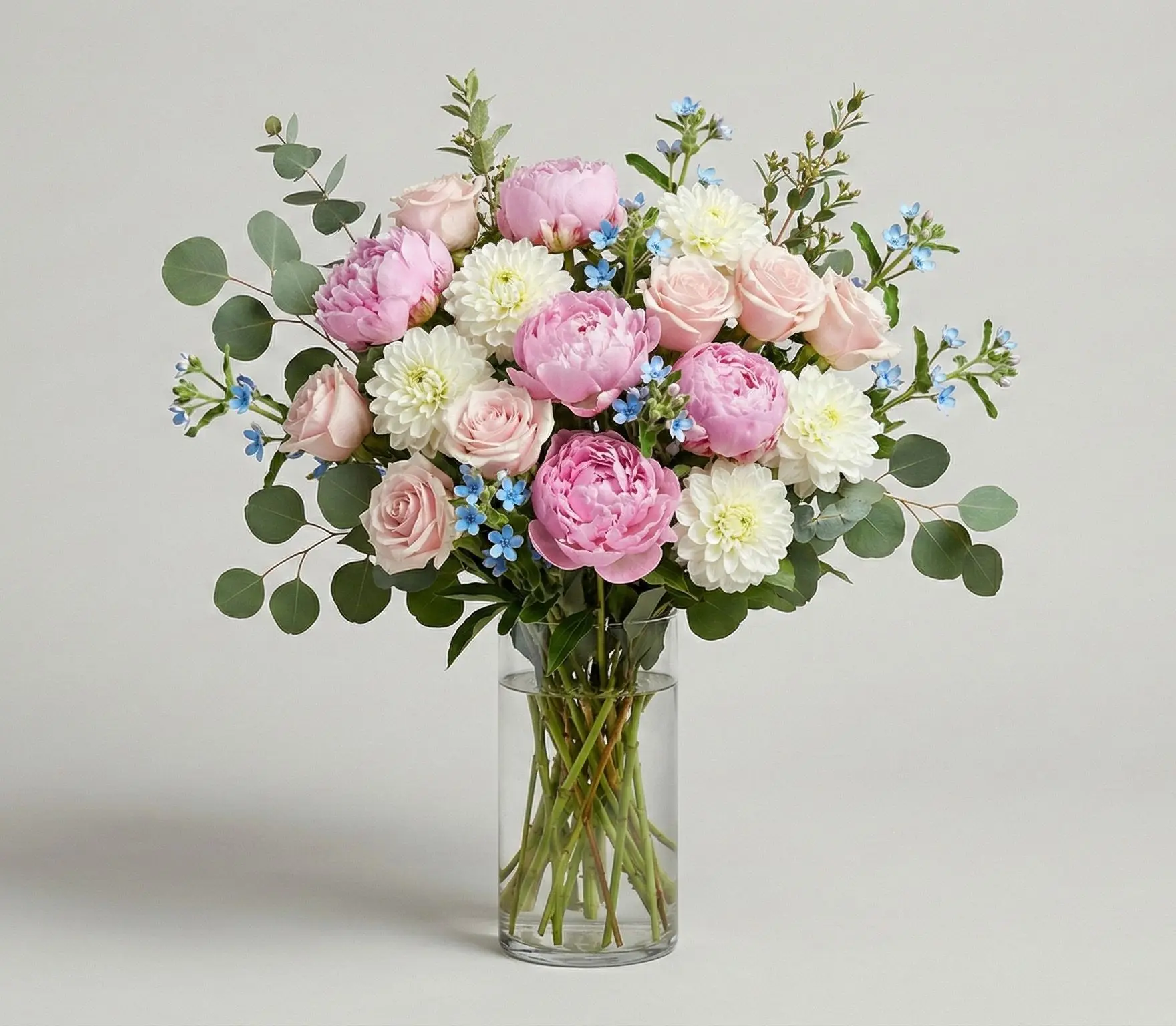 Peony Paradise Peony Paradise