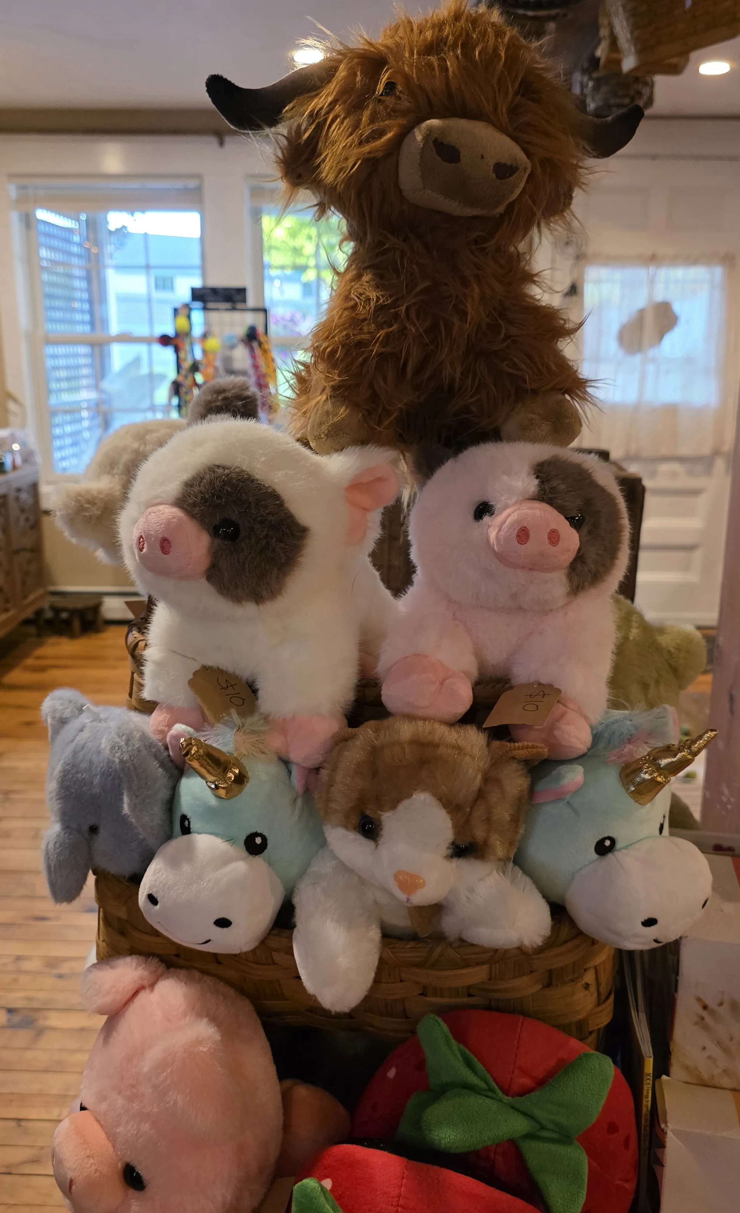 Stuffies Stuffies