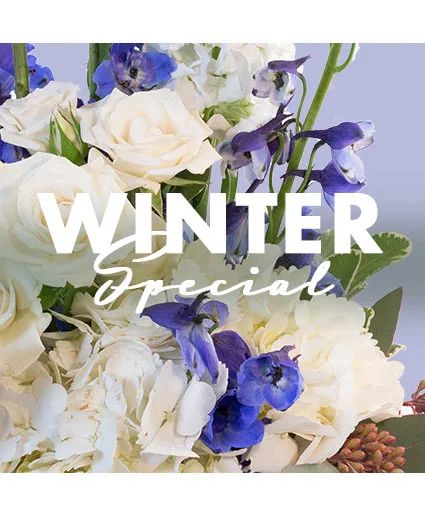 Winter Special Designer's Choice