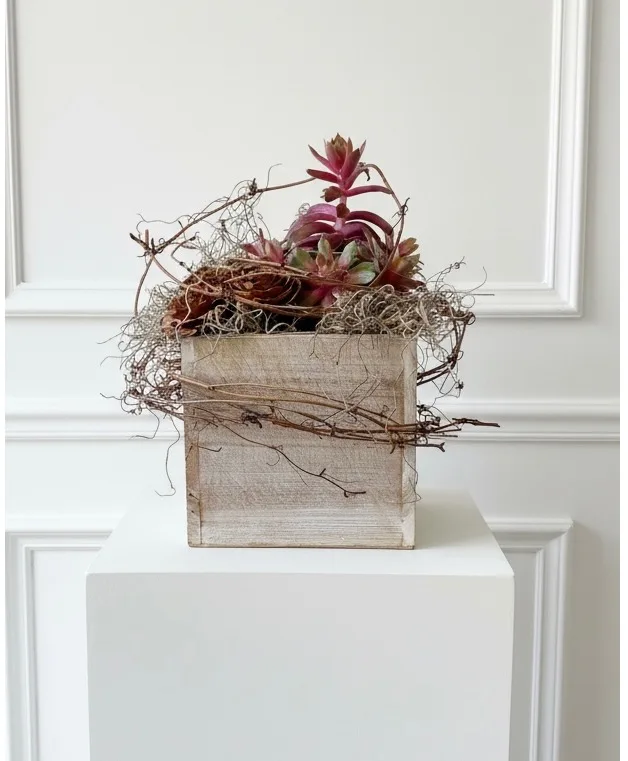 Rustic Roots Succulent Box Garden Rustic Roots Succulent Box Garden