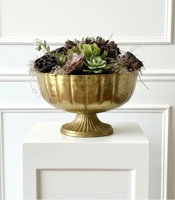 Contemplative Succulent Garden Deluxe Golden Compote Succulent Garden Contemplative Succulent Garden Deluxe Golden Compote Succulent Garden