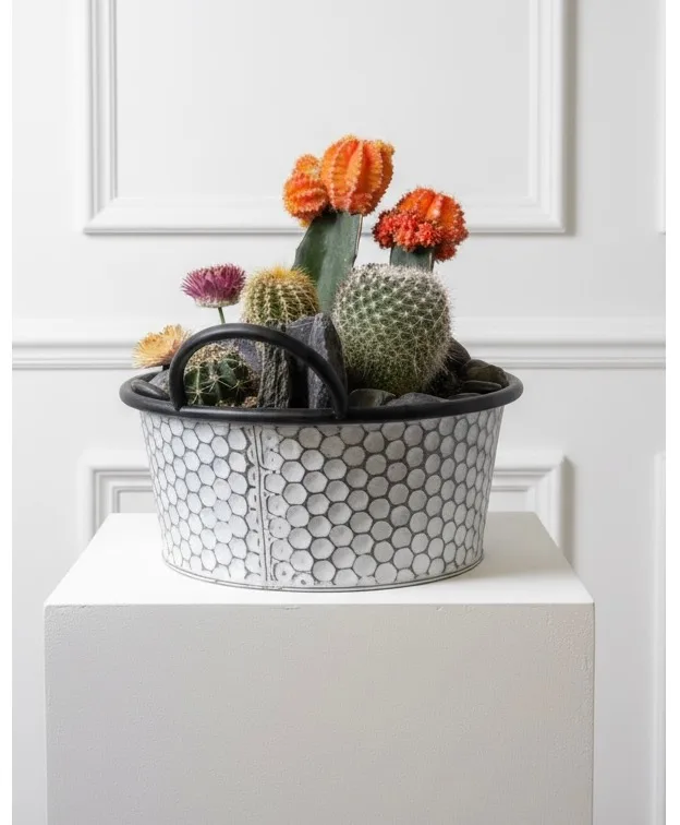 Southwest Dreams Cactus Dish Garden Southwest Dreams Cactus Dish Garden