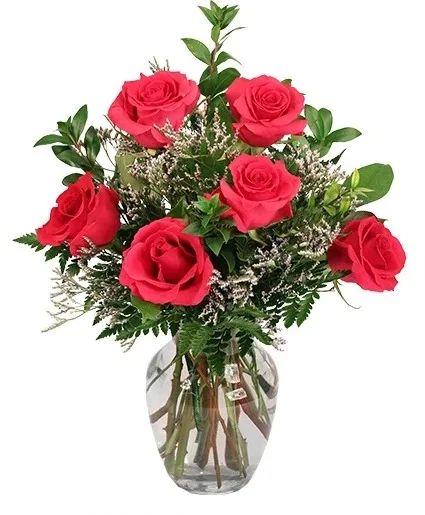 6 Roses your Choice of Colo