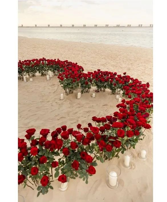 Proposals Red Roses & Candles