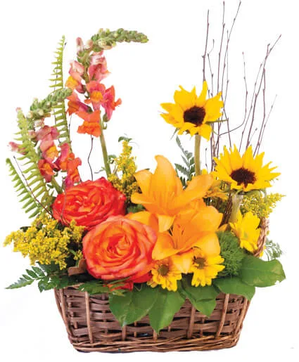 Natural Sunset Basket Arrangement Natural Sunset Basket Arrangement