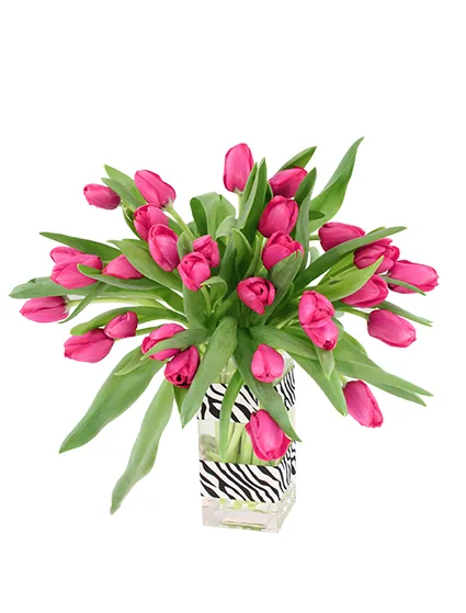Hot Pink Passion Tulip Arrangement Hot Pink Passion Tulip Arrangement