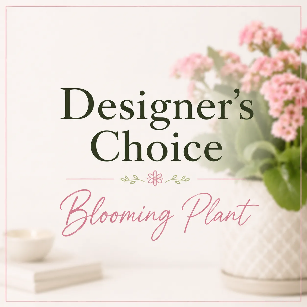 Designer's Choice - Blooming Plant Designer's Choice - Blooming Plant