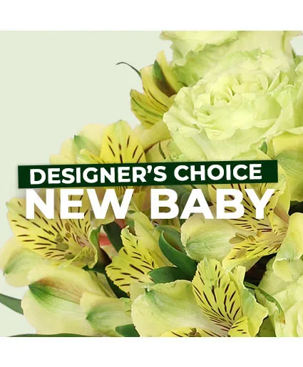 New Baby Flowers Designer's Choice New Baby Flowers Designer's Choice