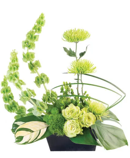 Lovely Lime Floral Arrangement Lovely Lime Floral Arrangement