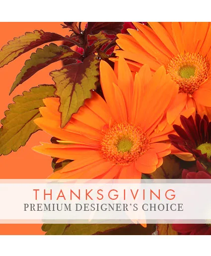 Thanksgiving Floral Beauty Premium Designer's Choice Thanksgiving Floral Beauty Premium Designer's Choice