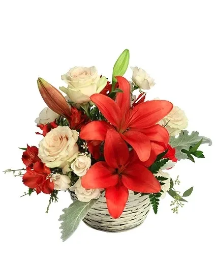 Serene Scarlet & Ivory Basket Arrangement Serene Scarlet & Ivory Basket Arrangement