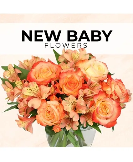 New Baby Florist’s Pick Designer's Choice New Baby Florist’s Pick Designer's Choice